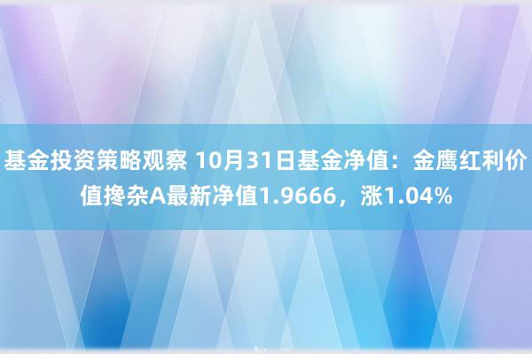 基金投资策略观察 10月31日基金净值：金鹰红利价值搀杂A最新净值1.9666，涨1.04%