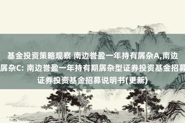 基金投资策略观察 南边誉盈一年持有羼杂A,南边誉盈一年持有羼杂C: 南边誉盈一年持有期羼杂型证券投资基金招募说明书(更新)