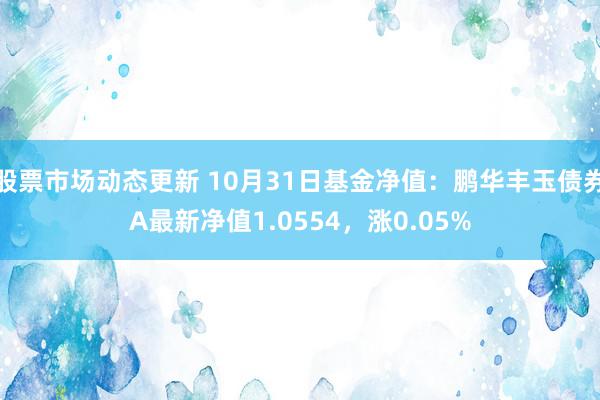 股票市场动态更新 10月31日基金净值：鹏华丰玉债券A最新净值1.0554，涨0.05%