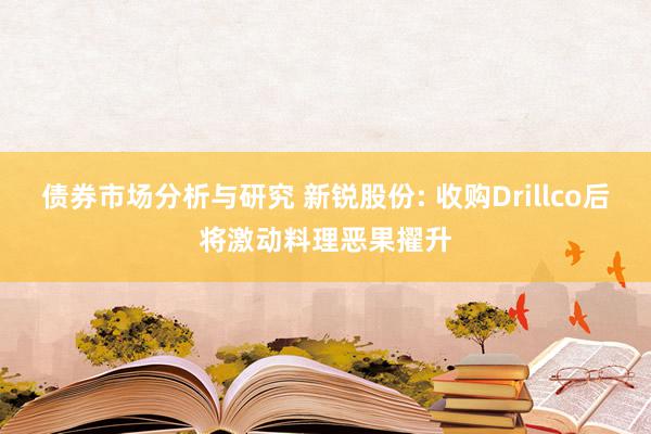 债券市场分析与研究 新锐股份: 收购Drillco后将激动料理恶果擢升