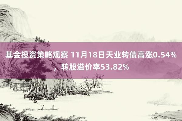 基金投资策略观察 11月18日天业转债高涨0.54%，转股溢价率53.82%