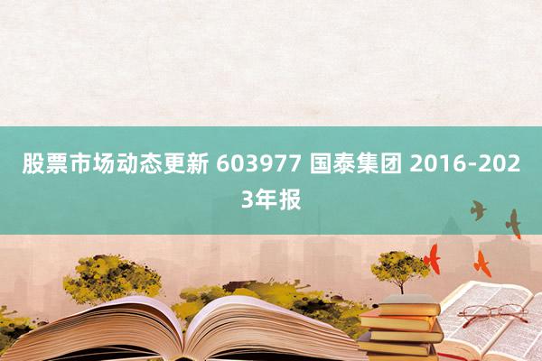 股票市场动态更新 603977 国泰集团 2016-2023年报