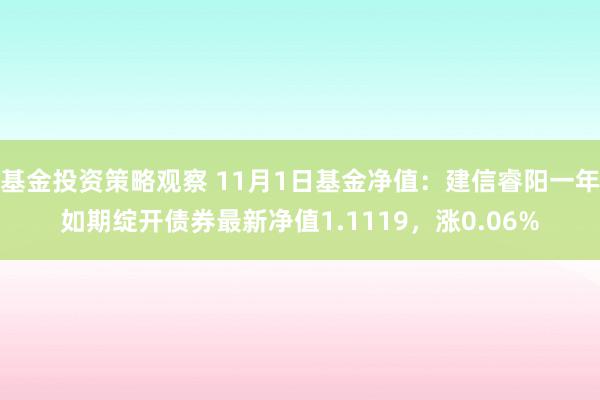 基金投资策略观察 11月1日基金净值：建信睿阳一年如期绽开债券最新净值1.1119，涨0.06%