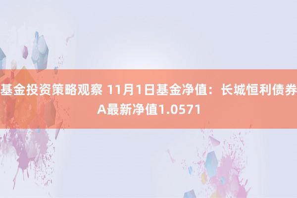 基金投资策略观察 11月1日基金净值：长城恒利债券A最新净值1.0571