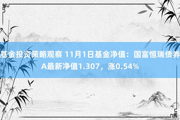 基金投资策略观察 11月1日基金净值：国富恒瑞债券A最新净值1.307，涨0.54%