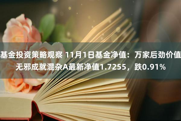 基金投资策略观察 11月1日基金净值：万家后劲价值无邪成就混杂A最新净值1.7255，跌0.91%