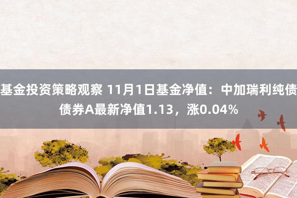 基金投资策略观察 11月1日基金净值：中加瑞利纯债债券A最新净值1.13，涨0.04%