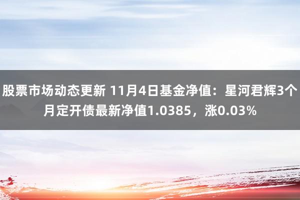 股票市场动态更新 11月4日基金净值：星河君辉3个月定开债最新净值1.0385，涨0.03%