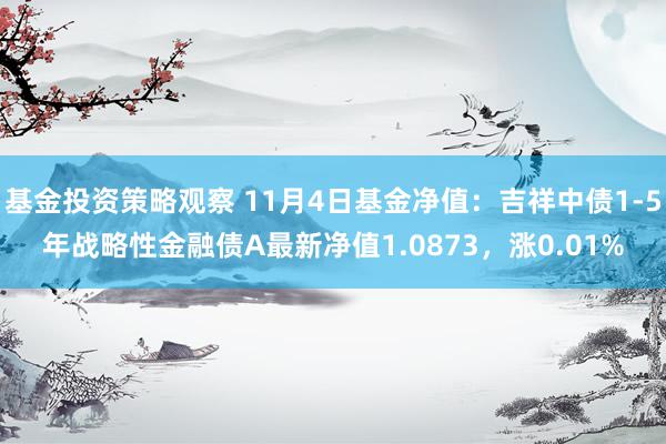 基金投资策略观察 11月4日基金净值：吉祥中债1-5年战略性金融债A最新净值1.0873，涨0.01%