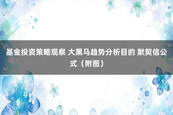 基金投资策略观察 大黑马趋势分析目的 默契信公式（附图）