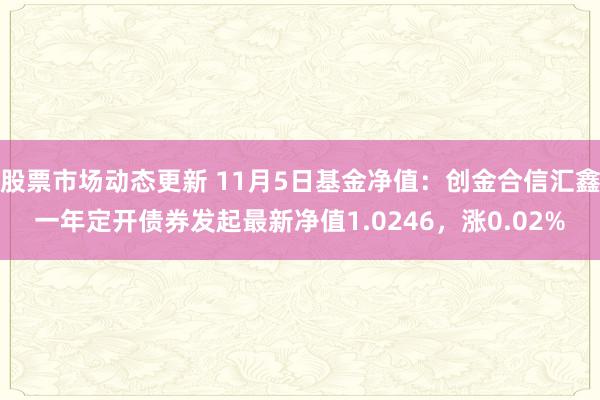 股票市场动态更新 11月5日基金净值：创金合信汇鑫一年定开债券发起最新净值1.0246，涨0.02%