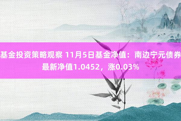 基金投资策略观察 11月5日基金净值：南边宁元债券最新净值1.0452，涨0.03%