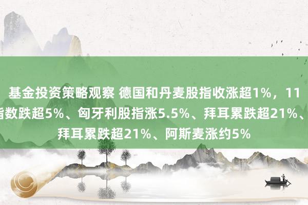 基金投资策略观察 德国和丹麦股指收涨超1%，11月意大利银行指数跌超5%、匈牙利股指涨5.5%、拜耳累跌超21%、阿斯麦涨约5%