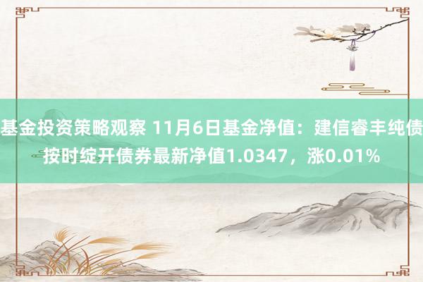 基金投资策略观察 11月6日基金净值：建信睿丰纯债按时绽开债券最新净值1.0347，涨0.01%