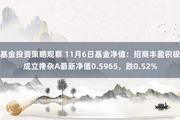 基金投资策略观察 11月6日基金净值：招商丰盈积极成立搀杂A最新净值0.5965，跌0.52%