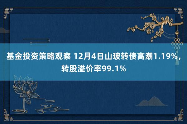 基金投资策略观察 12月4日山玻转债高潮1.19%，转股溢价率99.1%