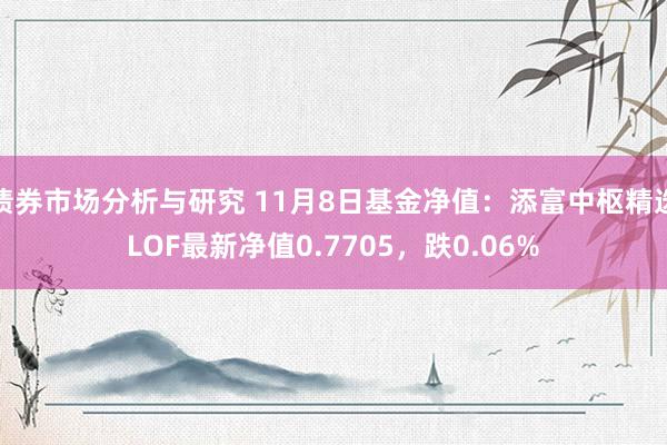 债券市场分析与研究 11月8日基金净值：添富中枢精选LOF最新净值0.7705，跌0.06%