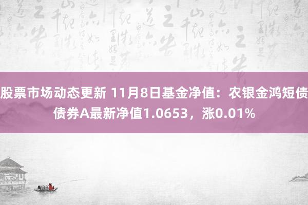 股票市场动态更新 11月8日基金净值：农银金鸿短债债券A最新净值1.0653，涨0.01%