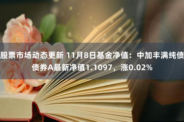 股票市场动态更新 11月8日基金净值：中加丰满纯债债券A最新净值1.1097，涨0.02%