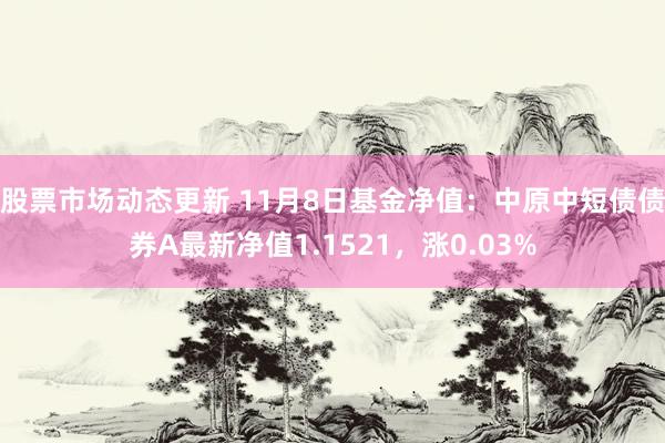 股票市场动态更新 11月8日基金净值：中原中短债债券A最新净值1.1521，涨0.03%