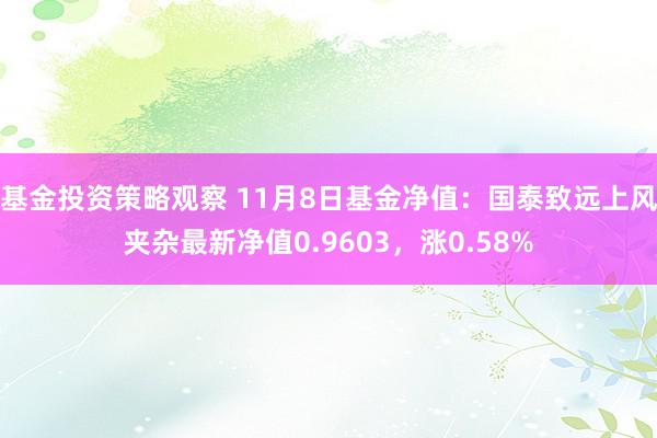 基金投资策略观察 11月8日基金净值：国泰致远上风夹杂最新净值0.9603，涨0.58%