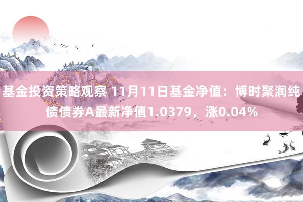 基金投资策略观察 11月11日基金净值：博时聚润纯债债券A最新净值1.0379，涨0.04%