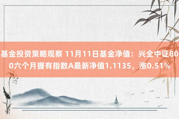 基金投资策略观察 11月11日基金净值：兴全中证800六个月握有指数A最新净值1.1135，涨0.51%