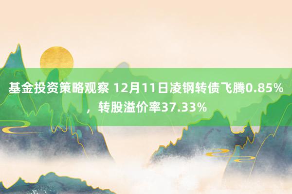 基金投资策略观察 12月11日凌钢转债飞腾0.85%，转股溢价率37.33%