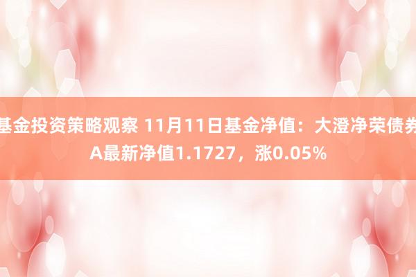 基金投资策略观察 11月11日基金净值：大澄净荣债券A最新净值1.1727，涨0.05%