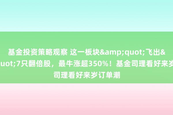 基金投资策略观察 这一板块&quot;飞出&quot;7只翻倍股，最牛涨超350%！基金司理看好来岁订单潮