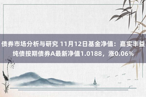 债券市场分析与研究 11月12日基金净值：嘉实丰益纯债按期债券A最新净值1.0188，涨0.06%