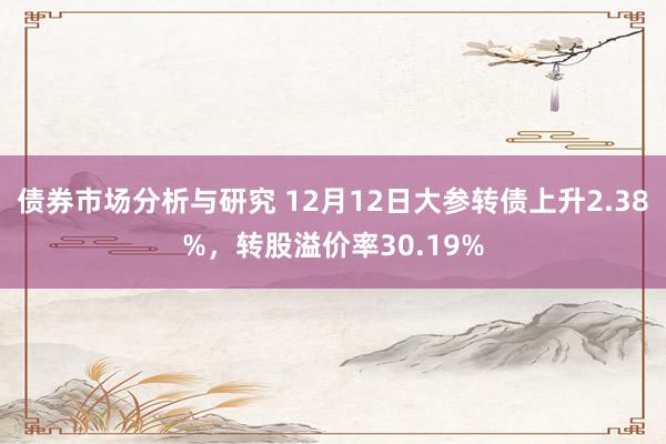 债券市场分析与研究 12月12日大参转债上升2.38%，转股溢价率30.19%