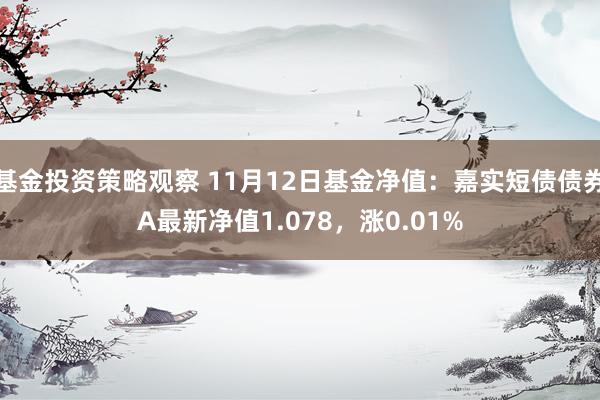 基金投资策略观察 11月12日基金净值：嘉实短债债券A最新净值1.078，涨0.01%