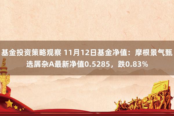 基金投资策略观察 11月12日基金净值：摩根景气甄选羼杂A最新净值0.5285，跌0.83%