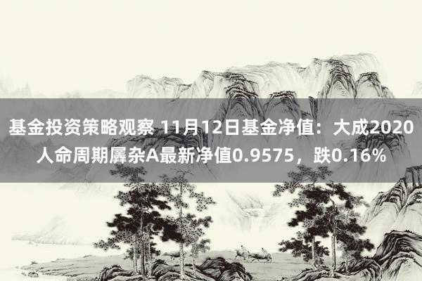 基金投资策略观察 11月12日基金净值：大成2020人命周期羼杂A最新净值0.9575，跌0.16%