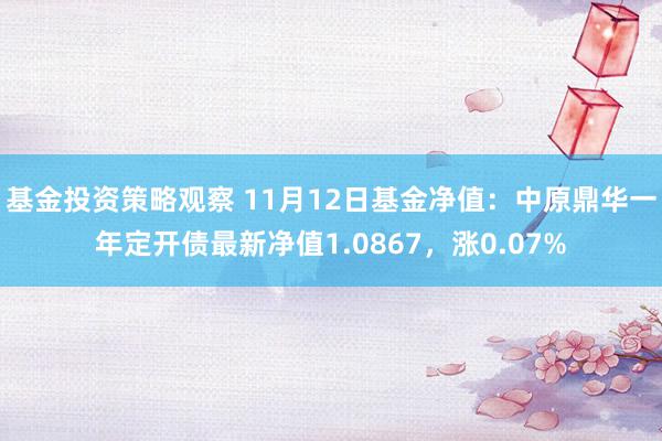 基金投资策略观察 11月12日基金净值：中原鼎华一年定开债最新净值1.0867，涨0.07%