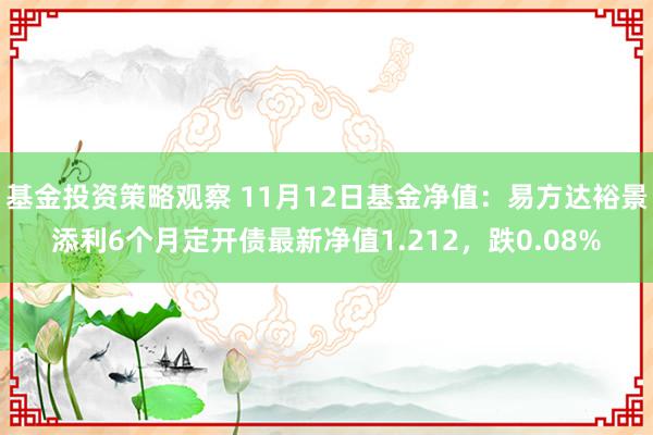 基金投资策略观察 11月12日基金净值：易方达裕景添利6个月定开债最新净值1.212，跌0.08%