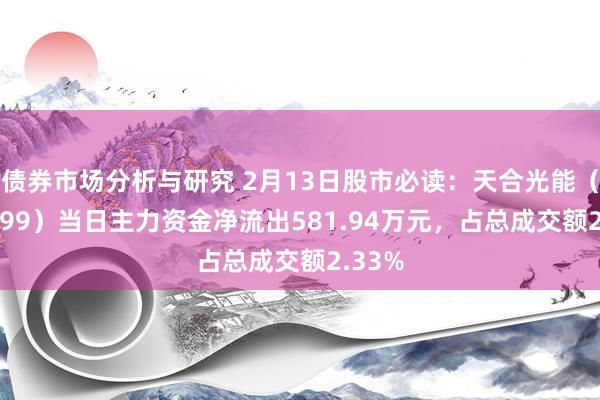 债券市场分析与研究 2月13日股市必读：天合光能（688599）当日主力资金净流出581.94万元，占总成交额2.33%