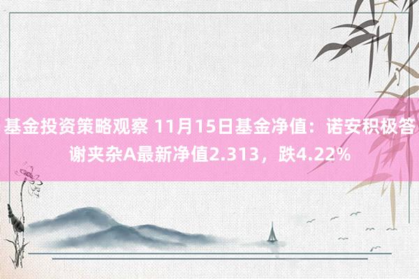 基金投资策略观察 11月15日基金净值：诺安积极答谢夹杂A最新净值2.313，跌4.22%