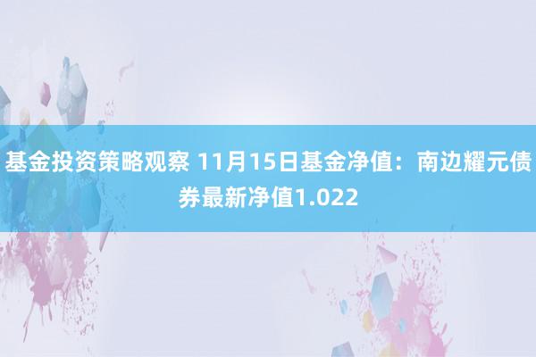 基金投资策略观察 11月15日基金净值：南边耀元债券最新净值1.022