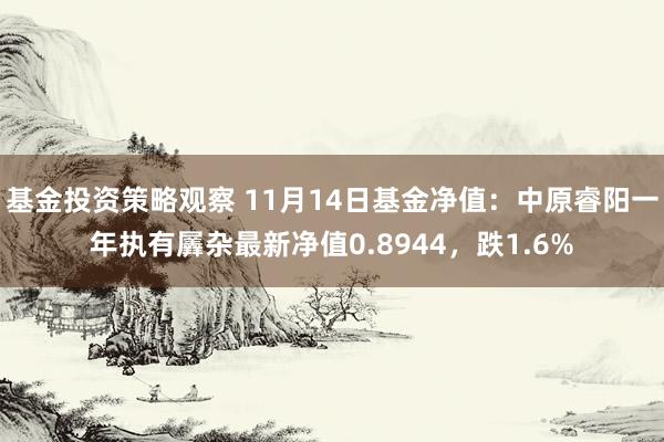 基金投资策略观察 11月14日基金净值：中原睿阳一年执有羼杂最新净值0.8944，跌1.6%