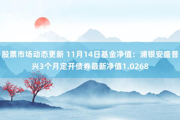 股票市场动态更新 11月14日基金净值：浦银安盛普兴3个月定开债券最新净值1.0268