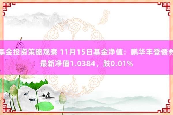 基金投资策略观察 11月15日基金净值：鹏华丰登债券最新净值1.0384，跌0.01%