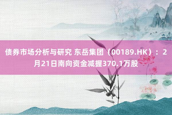 债券市场分析与研究 东岳集团（00189.HK）：2月21日南向资金减握370.1万股