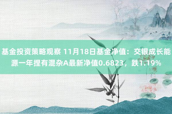 基金投资策略观察 11月18日基金净值：交银成长能源一年捏有混杂A最新净值0.6823，跌1.19%