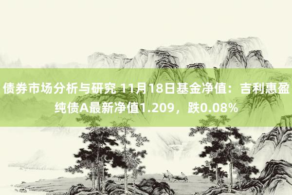 债券市场分析与研究 11月18日基金净值：吉利惠盈纯债A最新净值1.209，跌0.08%