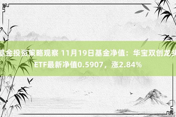 基金投资策略观察 11月19日基金净值：华宝双创龙头ETF最新净值0.5907，涨2.84%