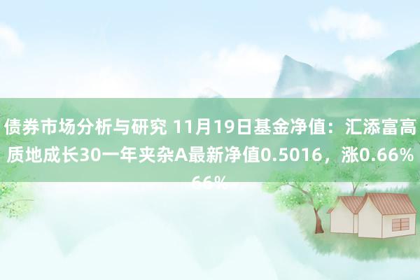 债券市场分析与研究 11月19日基金净值：汇添富高质地成长30一年夹杂A最新净值0.5016，涨0.66%