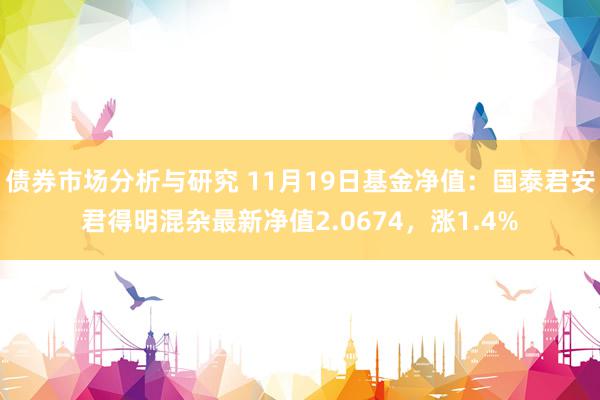 债券市场分析与研究 11月19日基金净值：国泰君安君得明混杂最新净值2.0674，涨1.4%