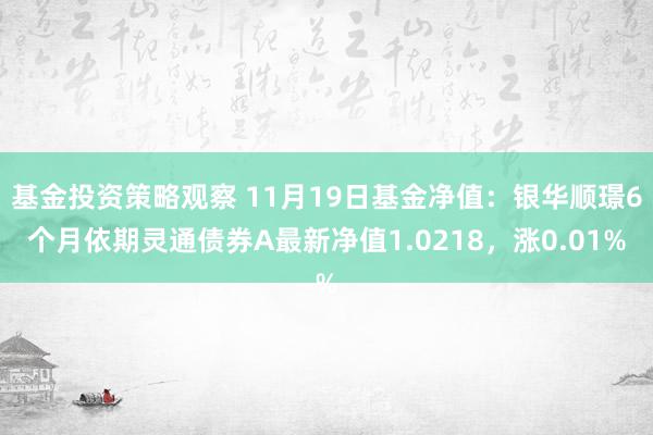 基金投资策略观察 11月19日基金净值：银华顺璟6个月依期灵通债券A最新净值1.0218，涨0.01%